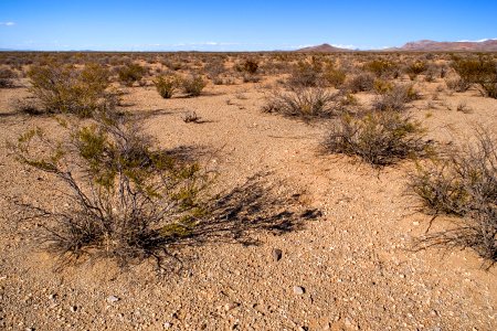 Western bajada of the Pyramid Mountains