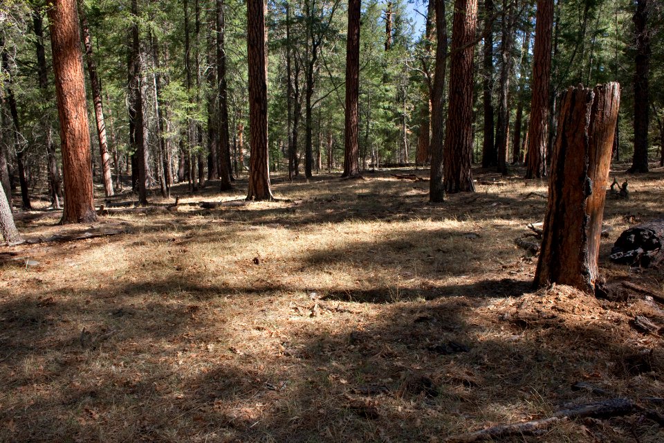 Continental Divide Trail