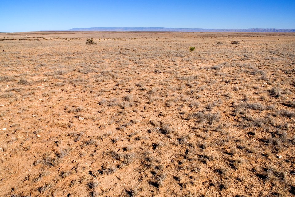 Southwestern Otero Mesa