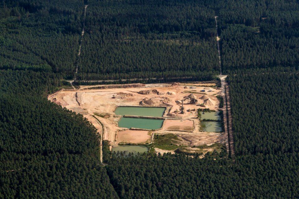 Swiss francs kieswerk forest