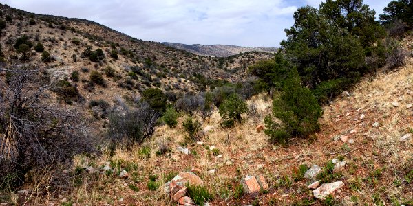 Northeastern Cookes Range