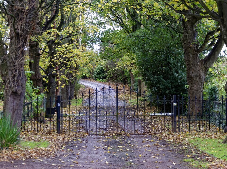 Lane country landscape