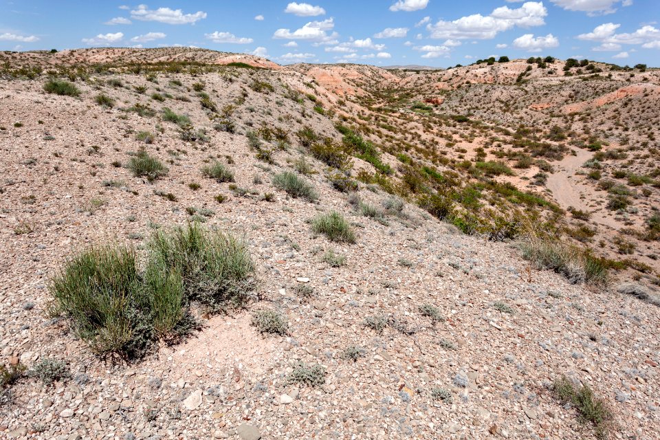 Northeast of Bosquecito
