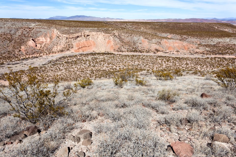 Southeast side of Arroyo Angostura