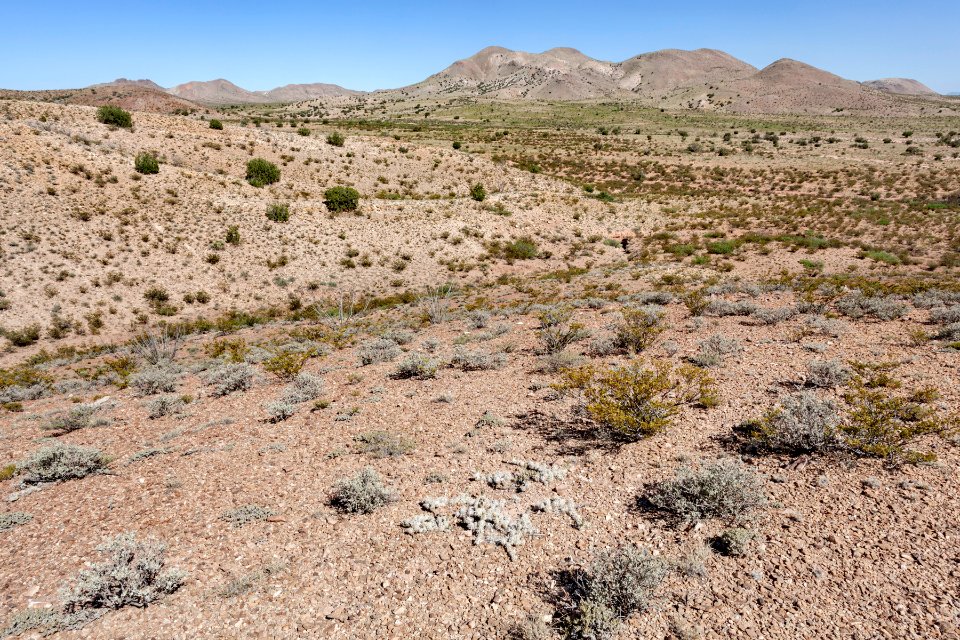 Near Arroyo de las Cañas