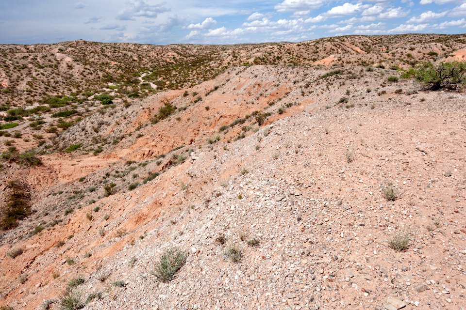 Northeast of Bosquecito