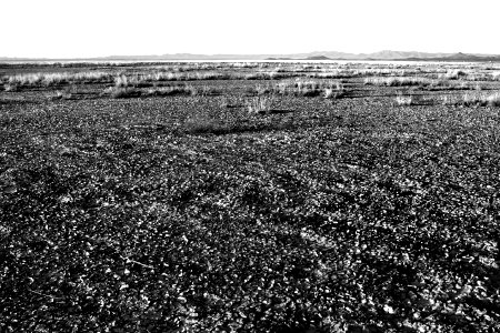 Lordsburg Playa