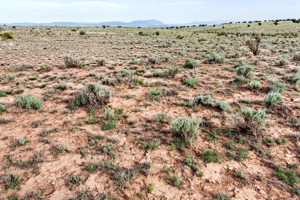 Northeast of Cat Head Mesa