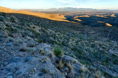 Robledo Mountains photo