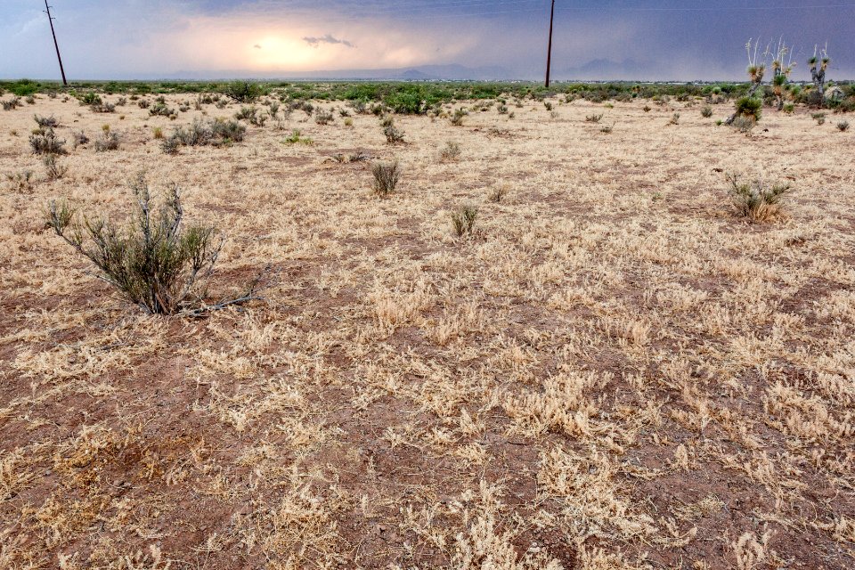 Near Baylor Canyon Road