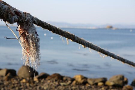 Tether rope thong photo