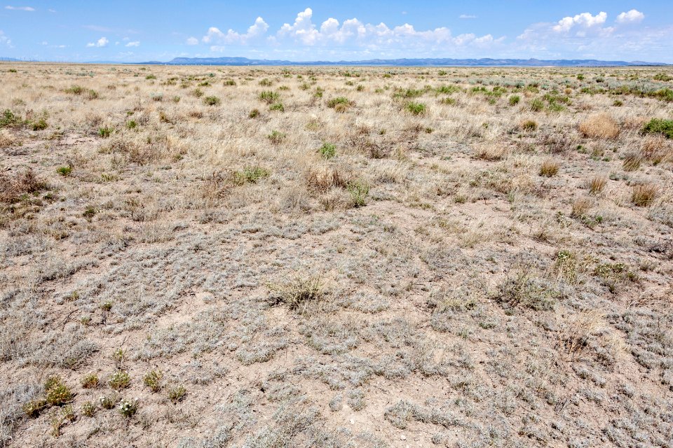 Southwest of Tres Montosas