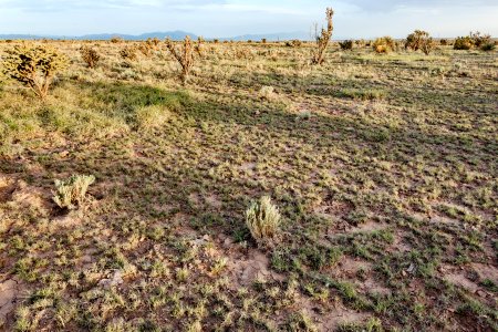 Northeast of Cat Head Mesa