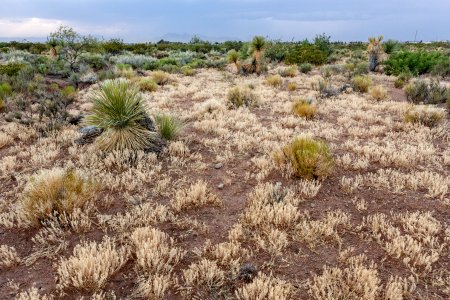 Near Baylor Canyon Road