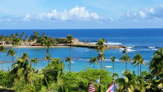 Island ocean coconut