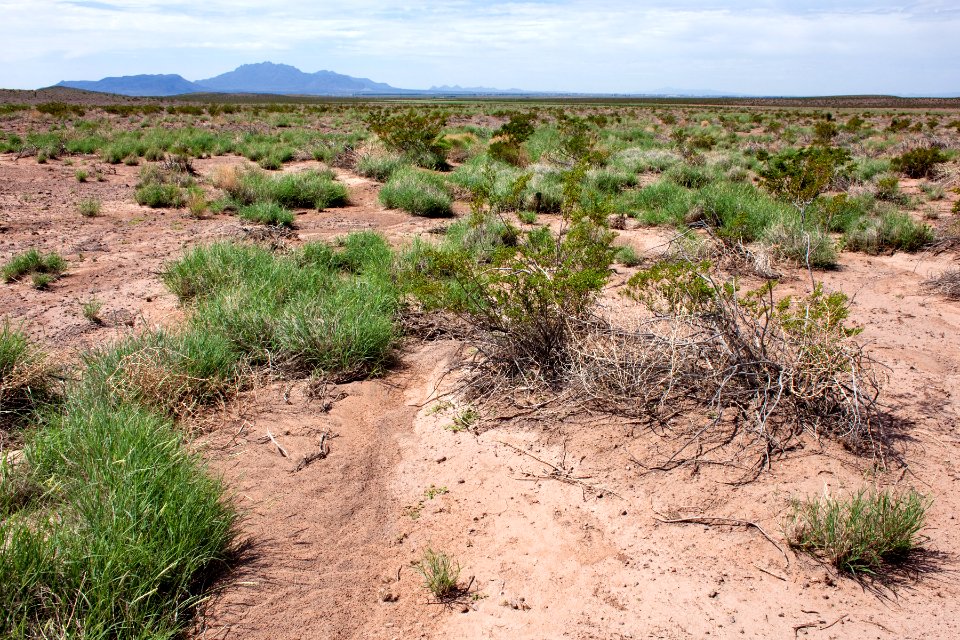 South side of Cookes Range