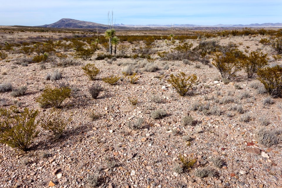 Southwest of Redrock