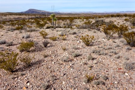 Southwest of Redrock