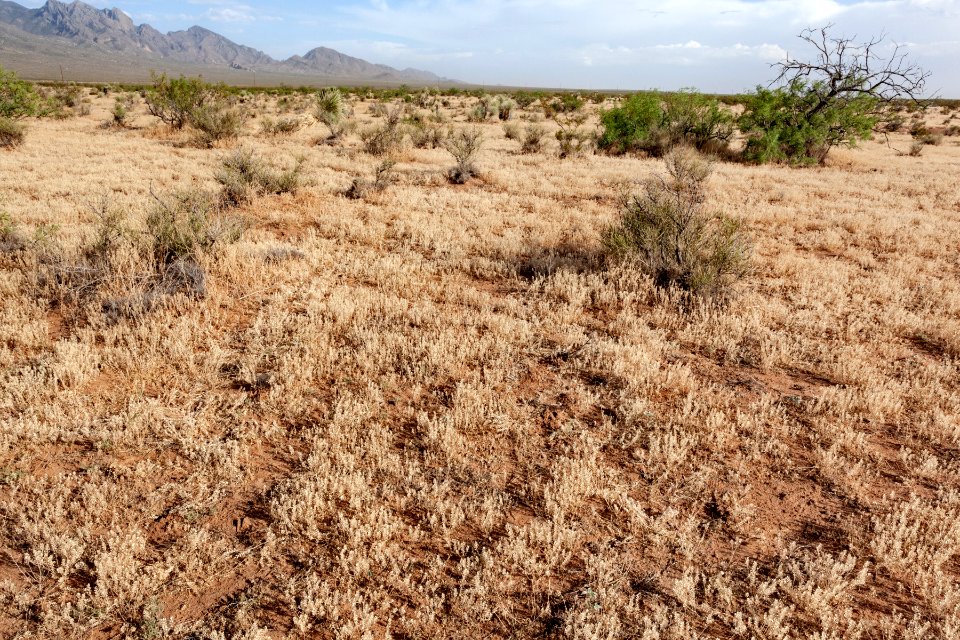 Near Baylor Canyon Road