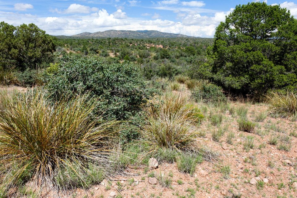 Continental Divide Trail