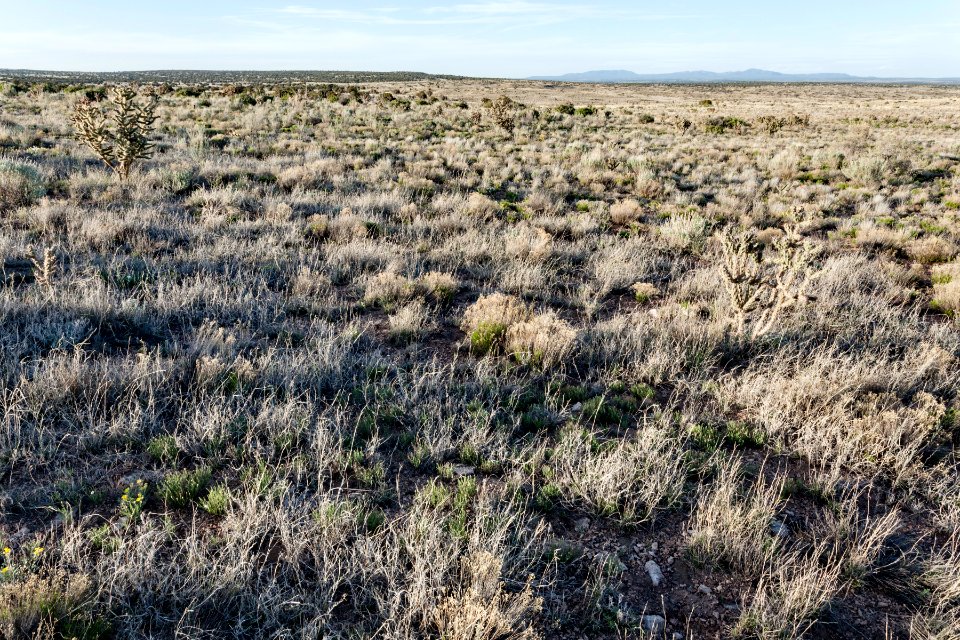 Cat Head Mesa