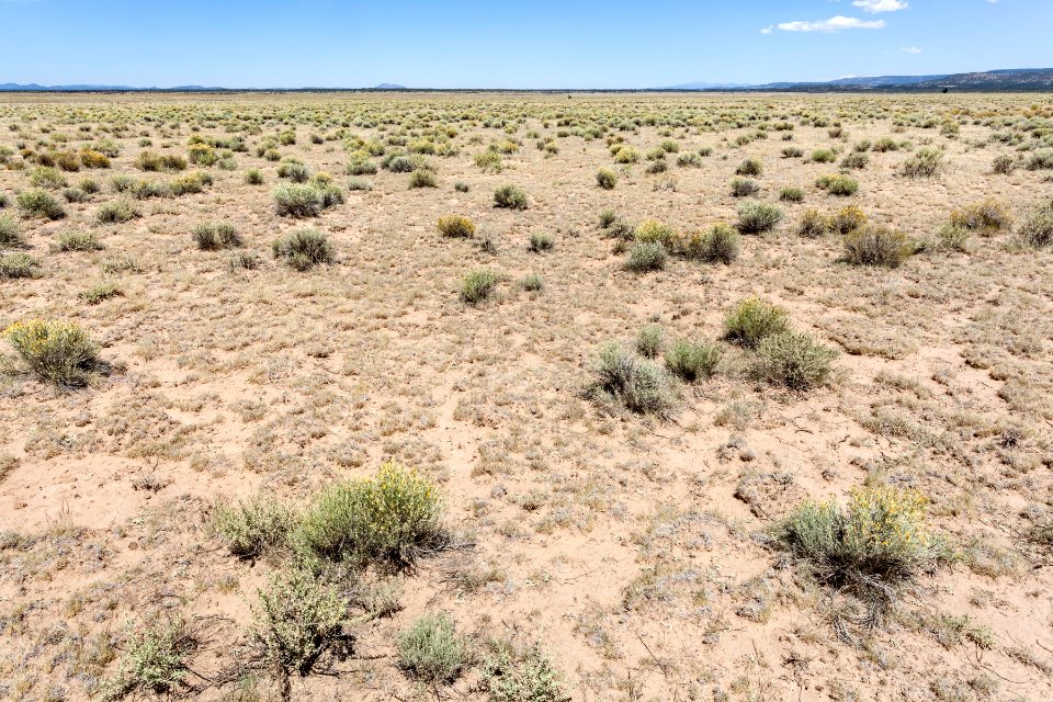 South of Grants Malpais