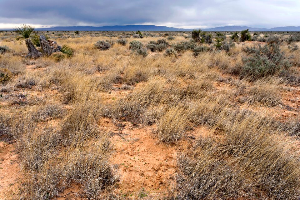 Northern Jornada Plain