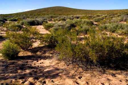 Jornada del Muerto, south side of Prisor Hill