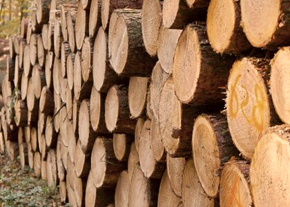 Log stacked wood photo