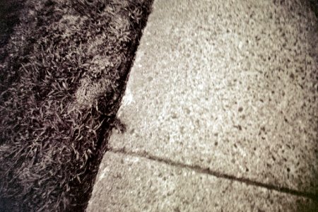 Sidewalk