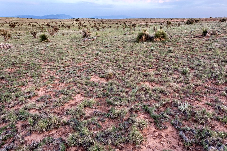 Northeast of Cat Head Mesa