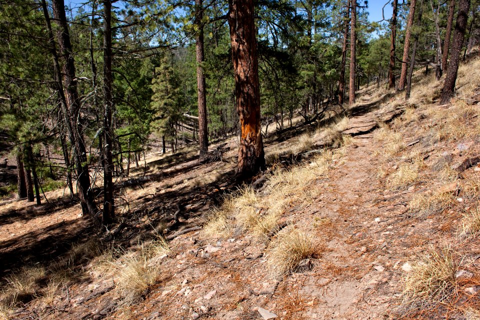Continental Divide