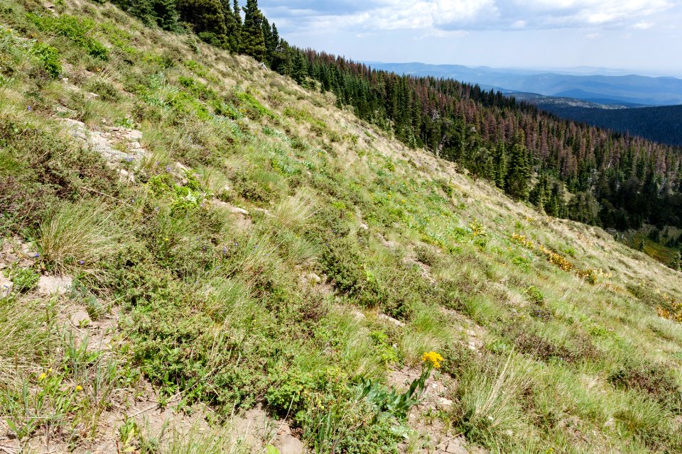 North of Horseshoe Lake