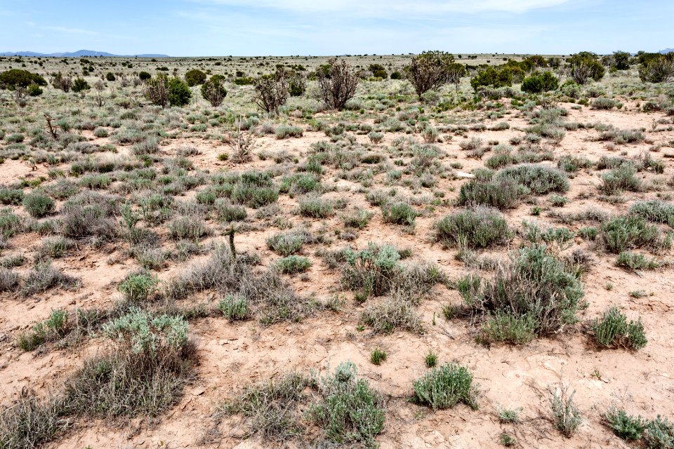 Northeast of Cat Head Mesa