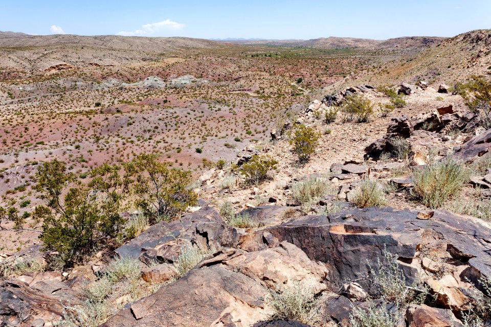 Near San Pedro Arroyo