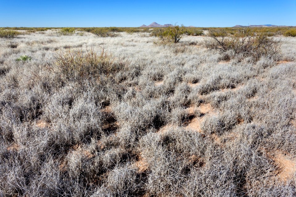 Plains west of Deming