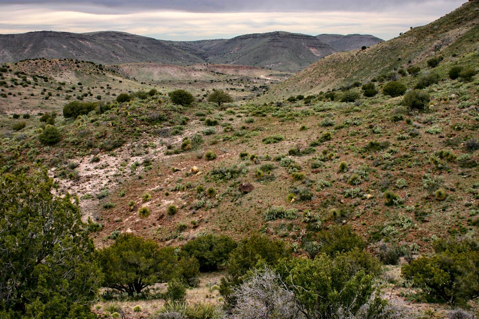 Sierra de las Uvas