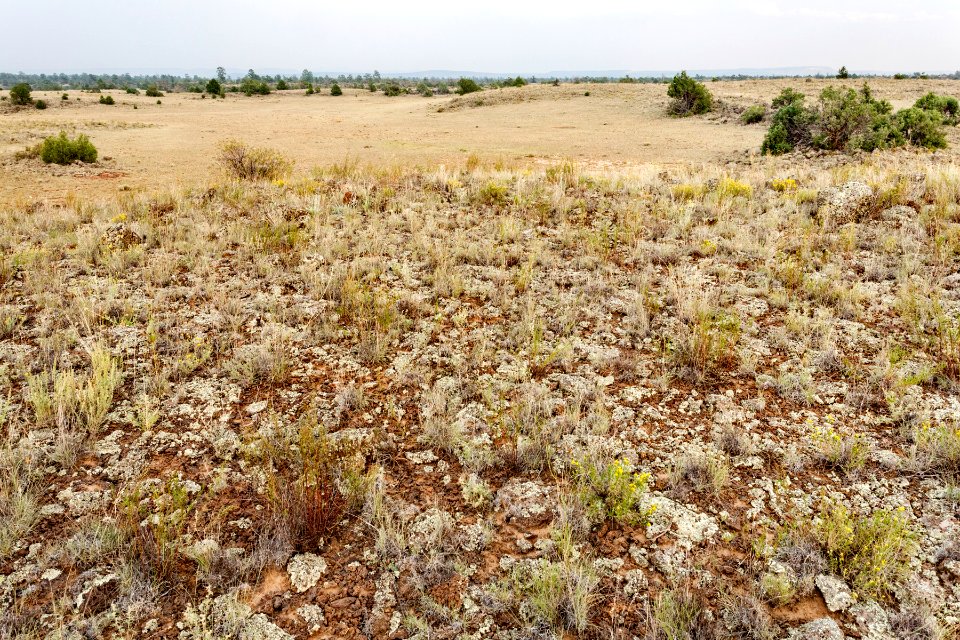 Southwest of Grants Malpais