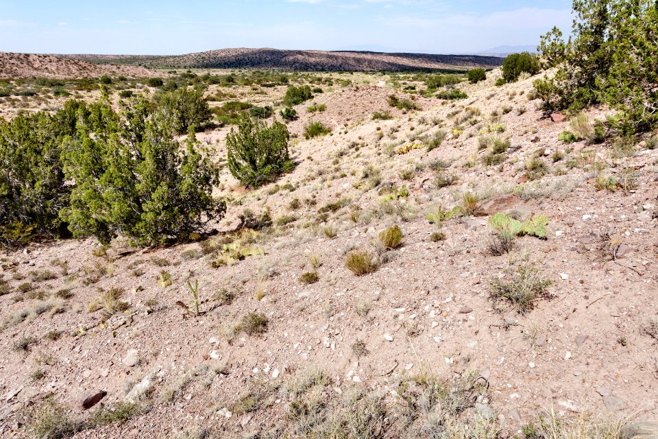 North-northeast of Polvadera Mountain