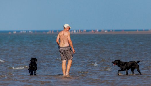 20170828 OldHunstantonBeach 0191