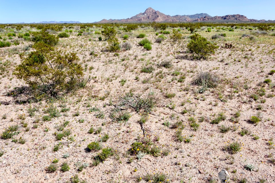 Southwest of Granite Gap