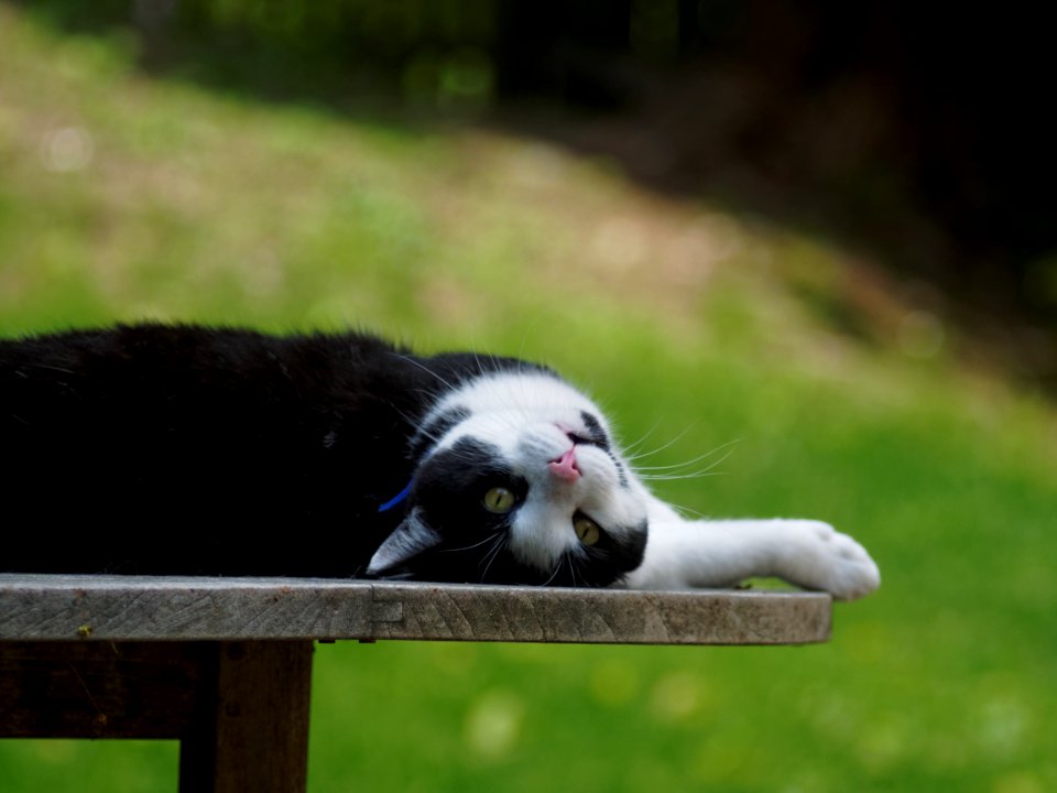 20150511-05 DxO