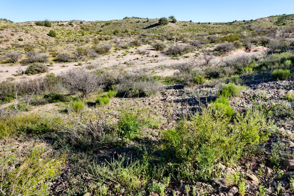 North-northeast of Caprock Mountain