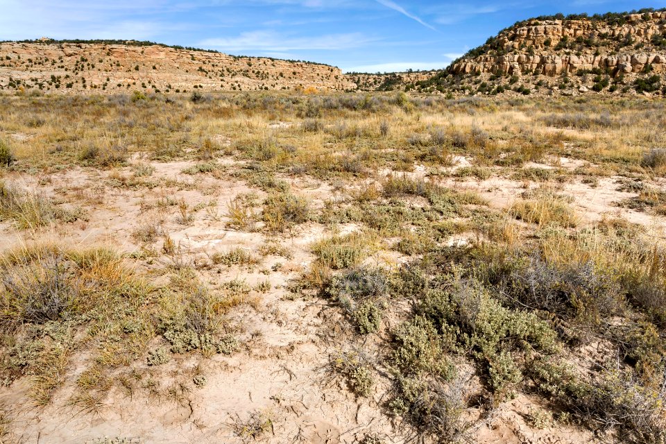 Cañon Largo