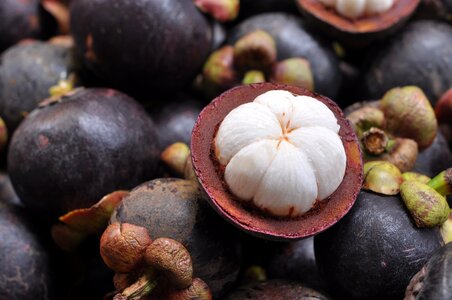 Fruit fresh purple