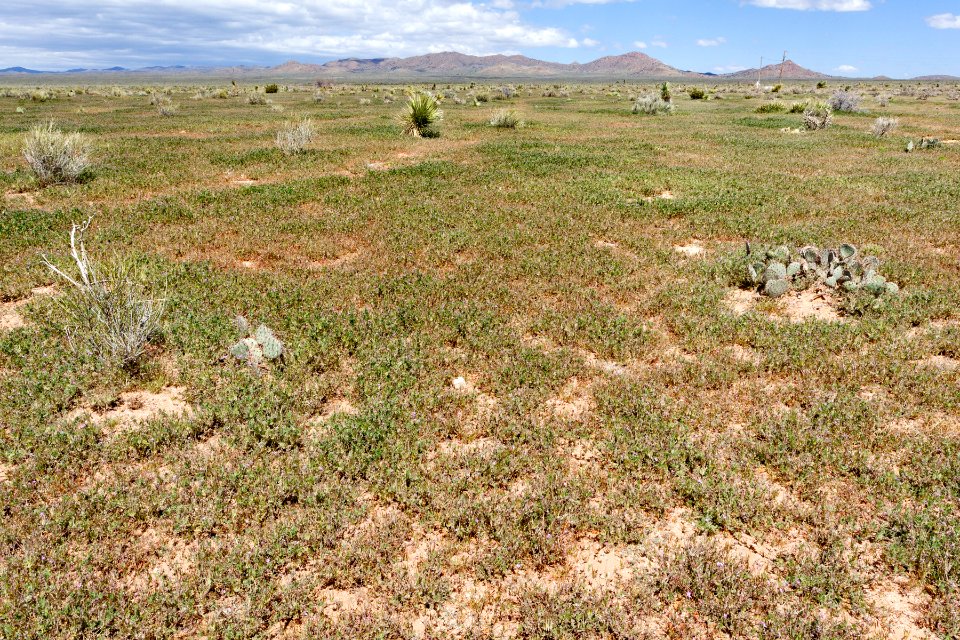 South-southeast of Apache Mountain