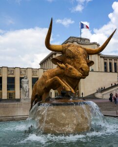 Architecture bull calf