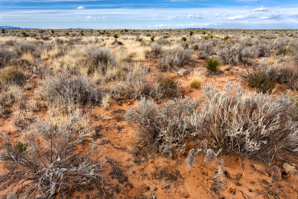 Northern Jornada Plain