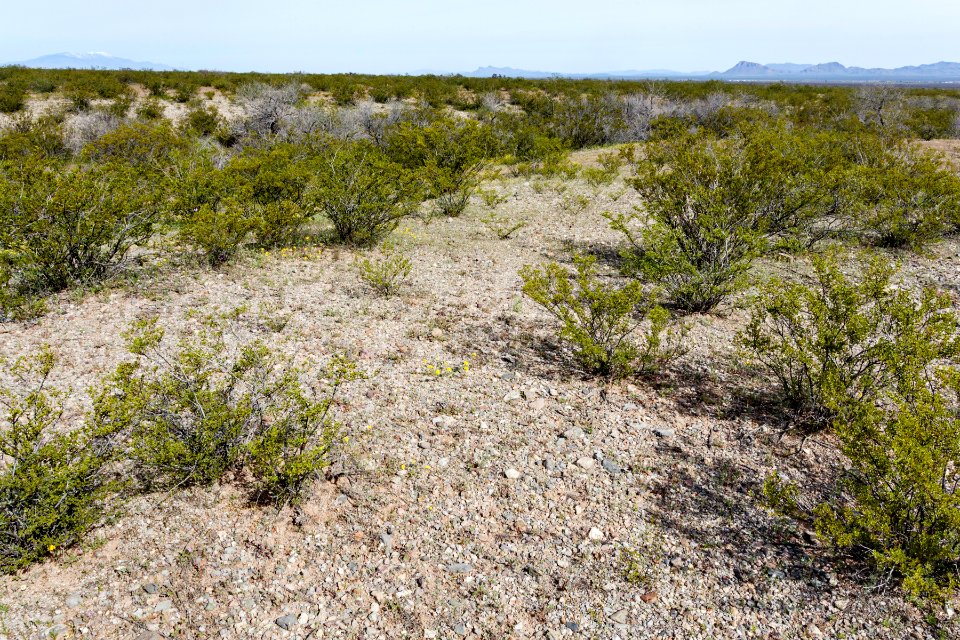 North-northeast of Onion Springs Peak