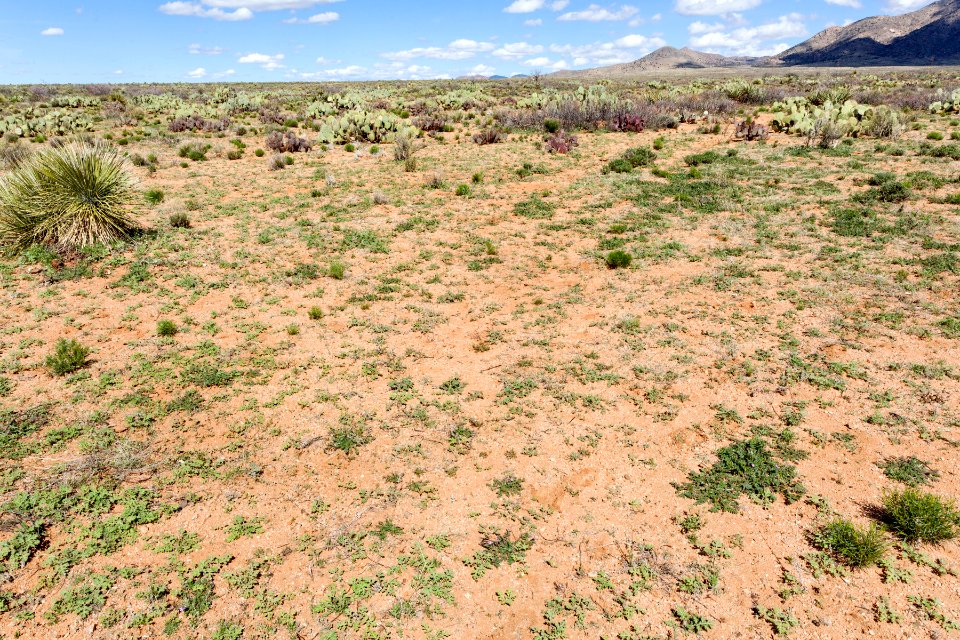 Northeast of Lordsburg